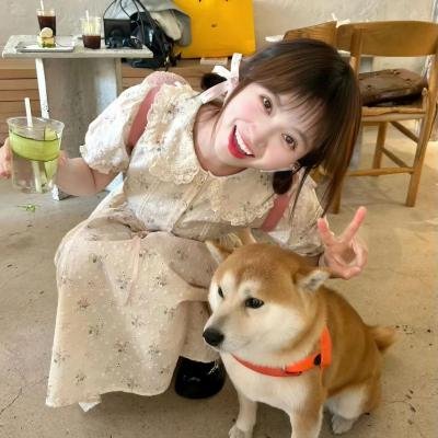 海染太阳红